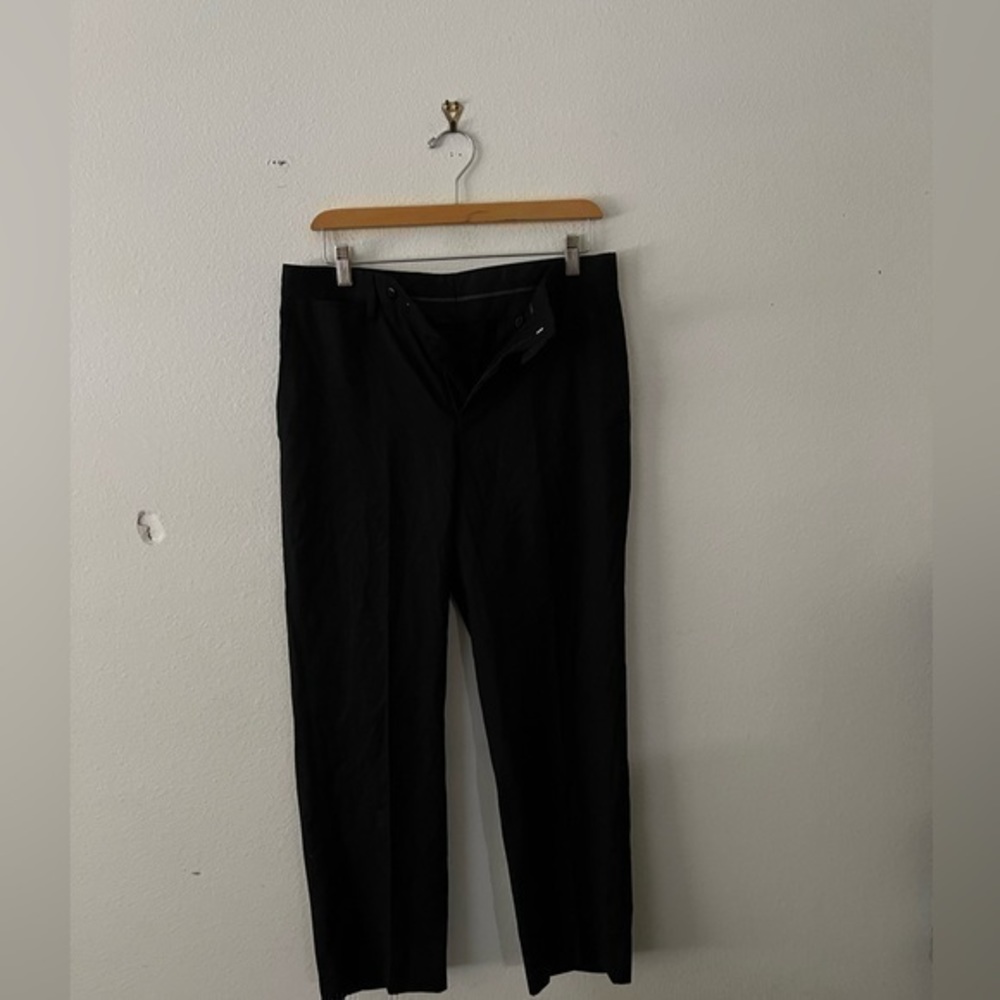 Louis Raphael Pants Size 30x30